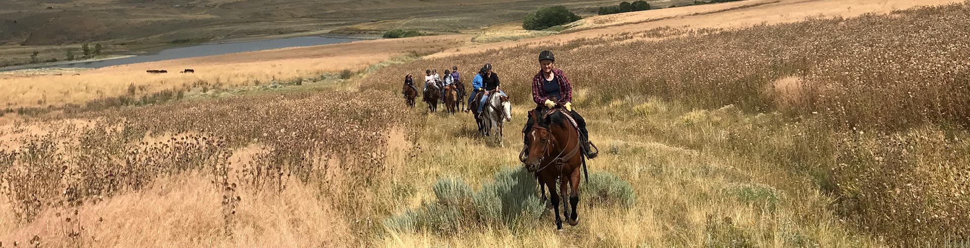 horseback riding in the mountains