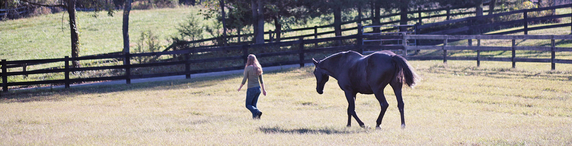 Emily and horse running