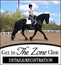 The Zone Clinic